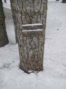 Ghost Ridge-Twin Lakes 001 